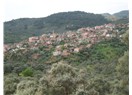Aydın'da bir Köy Dağyeni