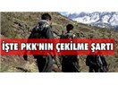 Terör örgütünün çekilme şartları...
