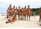 Survivor dedikleri!