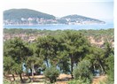 Haiku. 76 : Büyükada