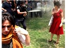 Gezi Parkı Direnişi; "Karanfile kan damladı"