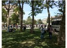 1.06.13. Taksim Gezi Parkı zaferi destanı