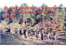 Üç ağaç için İstanbul'u yıkan bu gençler milyonlarcası için ne yapar?