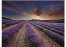 Fransa’nın Güneyindeki Muhteşem Bölge: Provence