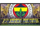 Ne olacak bu Fenerbahçe’nin hali?