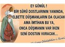 Mevlana'dan...