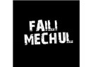 Faili Meçhul  /haiku