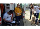 Köpeği ambulansa alınmayan yaralı Yavuz Büyükdoğanay, hastaneye gitmedi