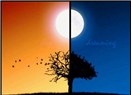Haiku .100 : gece- gündüz