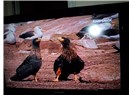 Şimdiki gibi bir şey… sanki o bir yer