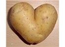 Patates 2014 yılında pahalı olacak