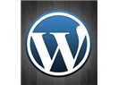 WordPress nedir? Neler yapılabilir?