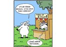 Dönüşü olmayan hatalar
