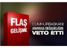 Cmhurbaşkanı Abdullah Gül bu güne kadar kaç kanunu veto etti?