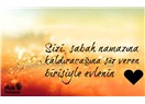 Yaratan Rabbimizin adıyla okumak