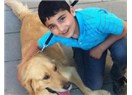 Beni affet küçüğüm...