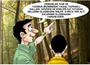 Yok etmeye çalıştığımız ormanların 14 hayatî faydası
