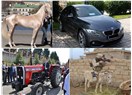 Eşekler ve Atlar, Traktörler ve Arabalar üzerinden Medeniyet ve Bedeviyet Mülahazaları