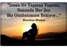 Yeni doğan güneş