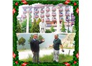 Emet Duyguları