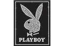 Bir Playboyun günlüğünden 10. Bölüm