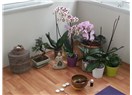 Doğuma hazırlık, yoga, aromaterapi denince annelere yardımcı bir yoga stüdyosu: Annezen/Mommazen