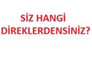 Sahi siz hangi direklerdensiniz?