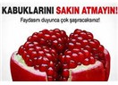 Nar kabuğu şifa kaynağı, kansere çare