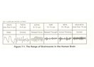 Theta healing (Teta şifası)