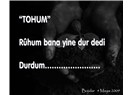 Tohum