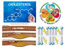 Kimyanın bahtsız çocuğu: kolesterol