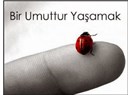 Bekleyiş