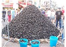 Midye kabukları