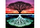 Yaşam Ağacı nedir? Neyin sembolüdür?