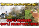 Yalova'da kesilen ağaçlar AKP'li miydi?