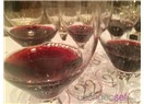 Gambero Rosso'nun "Top Italian Wines" Davetinden