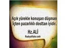 Bal tasviri üzerine düşünceler