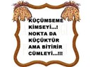 Hangisi Daha Deli?