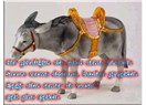 Eşeğin Mektubu