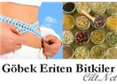 Göbek yağlarını eriten baharatlar…