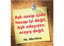 "Nasibin yoksa, dayak bile yiyemezsin!"
