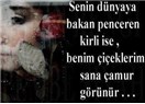 Taşın Hası