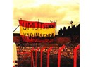 Ciddiyet yoksa şampiyonluk da yok
