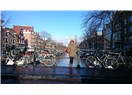 En Lokalinden Bir Amsterdam Yazısı