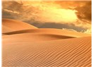 Süzülmüş, damıtılmış sözcükler 270 ( Haiku)