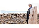  Beyaz ile siyah renkler ortak olacaklar