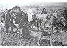 Düşman zulmü