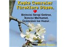 Cemreler yüreklere düşsün,ahde vefa yeşersin 