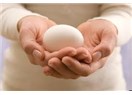 Yumurta Donasyonu ve Donör Seçimi