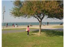 Ordu, İstanbul ve İzmir; tamam! Ama ya Güllük!?!